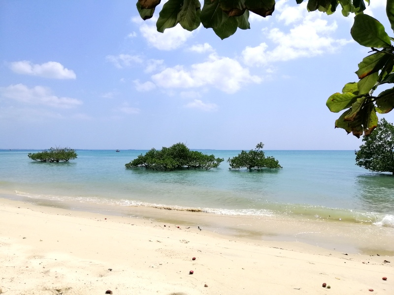 Zanzibaras automobiliu. Kizimkazi-Paje-Matemwe-Chuini-Stone Town. 