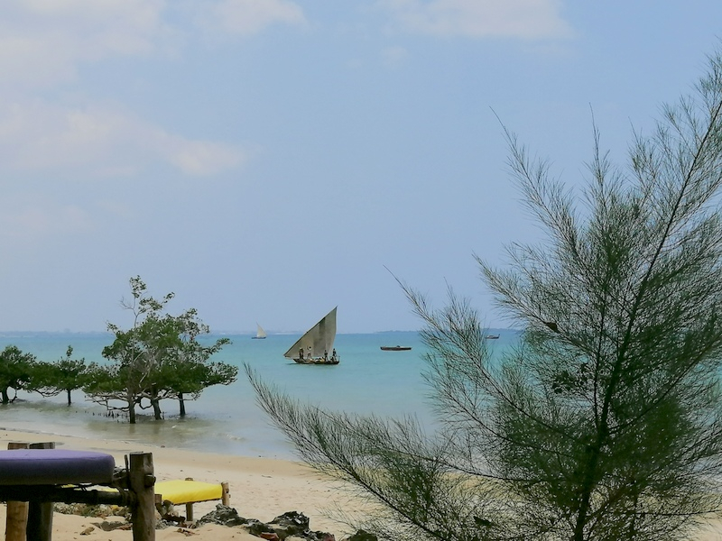 Zanzibaras automobiliu. Kizimkazi-Paje-Matemwe-Chuini-Stone Town. 