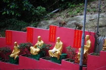 Заметки новичка о Гонконге, или немного о «сбытии мечт»