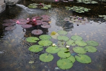 Заметки новичка о Гонконге, или немного о «сбытии мечт»