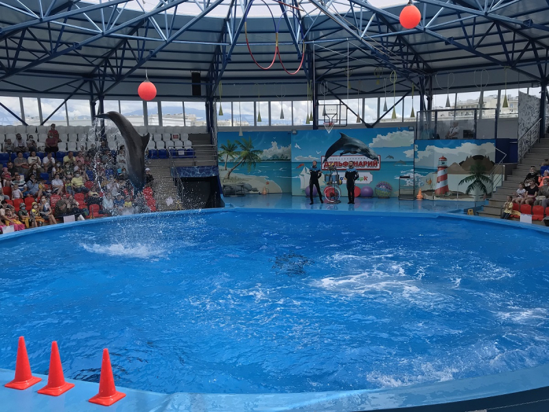 Сочи-Парк/отель Богатырь vs DisneyShanghai/Toy Story hotel