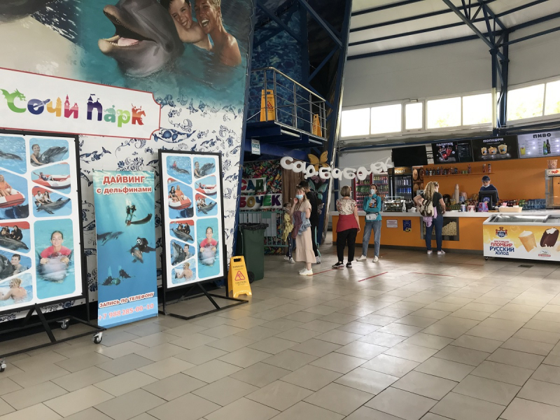 Сочи-Парк/отель Богатырь vs DisneyShanghai/Toy Story hotel