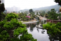 Заметки новичка о Гонконге, или немного о «сбытии мечт»