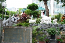 Заметки новичка о Гонконге, или немного о «сбытии мечт»