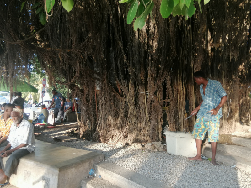 Zanzibaras automobiliu. Kizimkazi-Paje-Matemwe-Chuini-Stone Town. 