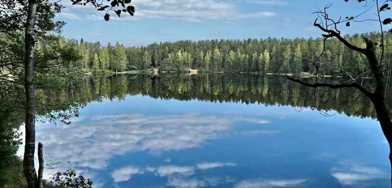 «Как я провёл этим летом» ©️ или неспешные прогулки по окрестностям Петербурга в ковидную годину