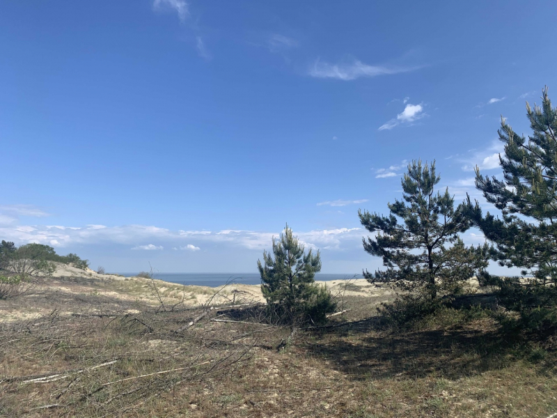 Калининград и область в начале июня на авто (29.05.2021-05.06.2021)