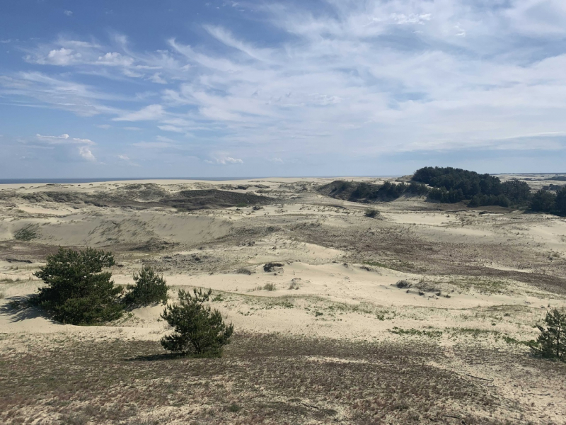 Калининград и область в начале июня на авто (29.05.2021-05.06.2021)