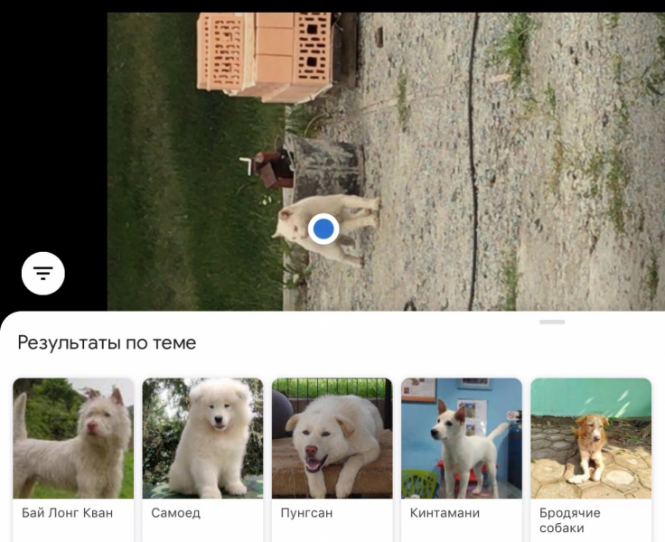 Кошки в нашей жизни. Кошки и все, что с ними связано.