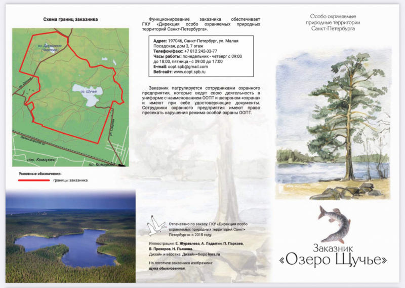 «Как я провёл этим летом» ©️ или неспешные прогулки по окрестностям Петербурга в ковидную годину