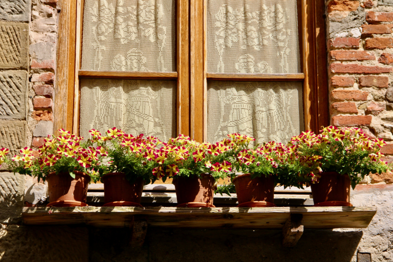 Путешествия дилетантов. Внезапная Италия.