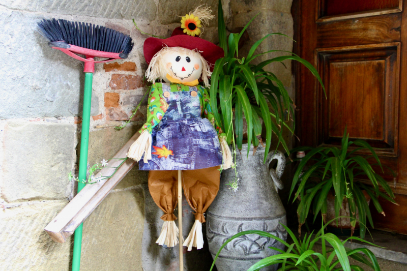 Путешествия дилетантов. Внезапная Италия.