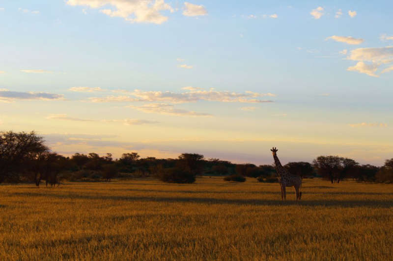 Enjoy Namibia или Намибия в ковидные времена (март 2021 г.)