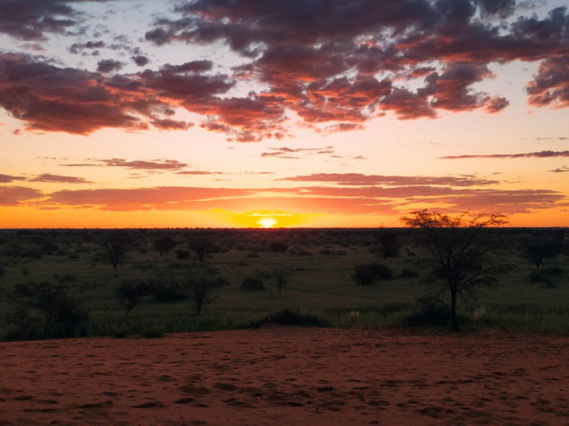 Enjoy Namibia или Намибия в ковидные времена (март 2021 г.)