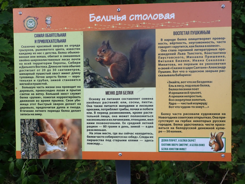 «Как я провёл этим летом» ©️ или неспешные прогулки по окрестностям Петербурга в ковидную годину