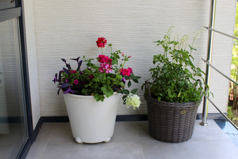 Апарт-отель "Снега"