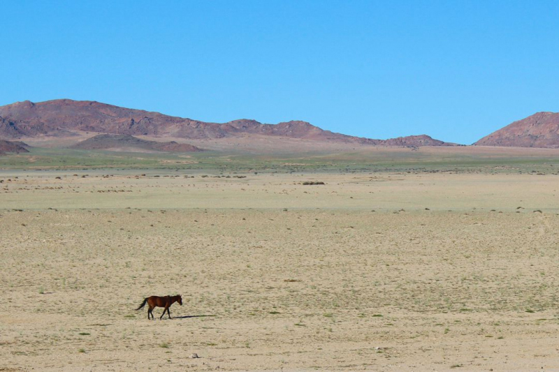 Enjoy Namibia или Намибия в ковидные времена (март 2021 г.)