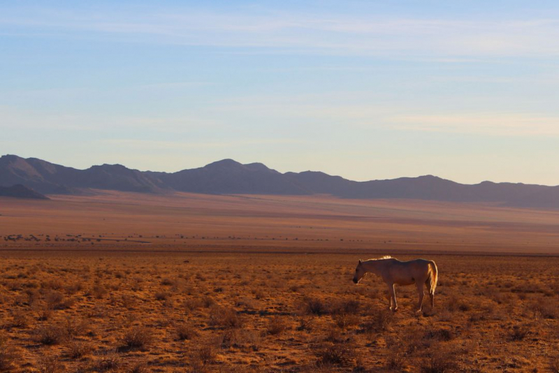 Enjoy Namibia или Намибия в ковидные времена (март 2021 г.)