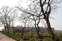 Письма ребенку из Индии