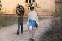 Письма ребенку из Индии