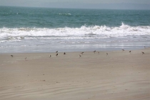 Письма ребенку из Индии