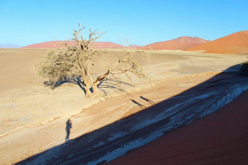 Enjoy Namibia или Намибия в ковидные времена (март 2021 г.)