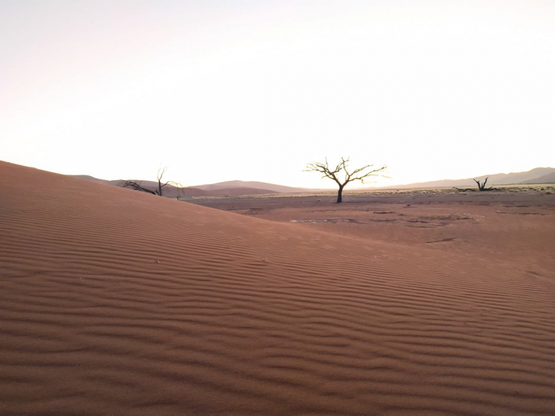 Enjoy Namibia или Намибия в ковидные времена (март 2021 г.)