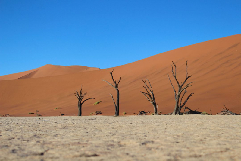 Enjoy Namibia или Намибия в ковидные времена (март 2021 г.)