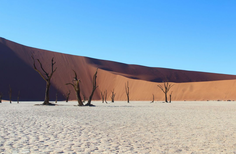 Enjoy Namibia или Намибия в ковидные времена (март 2021 г.)