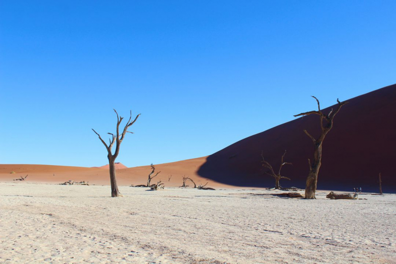 Enjoy Namibia или Намибия в ковидные времена (март 2021 г.)