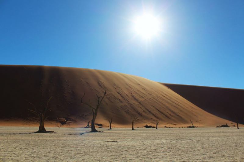 Enjoy Namibia или Намибия в ковидные времена (март 2021 г.)