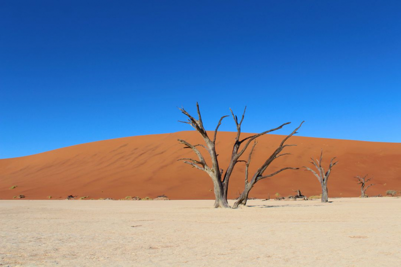 Enjoy Namibia или Намибия в ковидные времена (март 2021 г.)