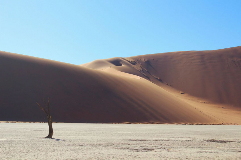 Enjoy Namibia или Намибия в ковидные времена (март 2021 г.)