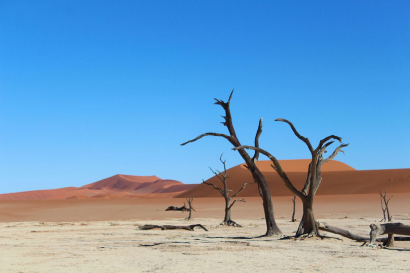 Enjoy Namibia или Намибия в ковидные времена (март 2021 г.)