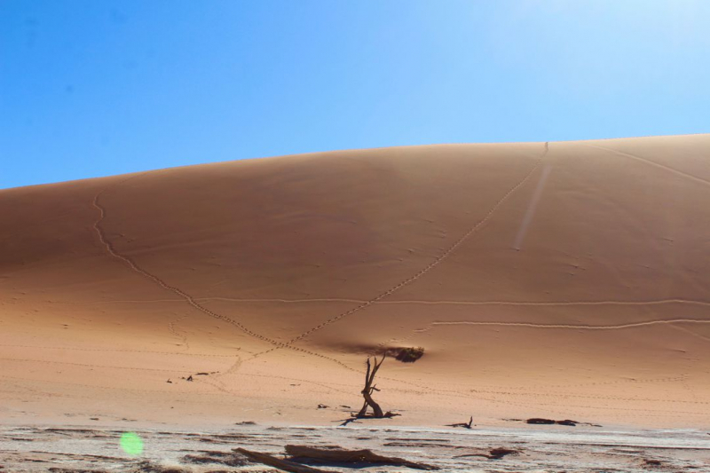 Enjoy Namibia или Намибия в ковидные времена (март 2021 г.)