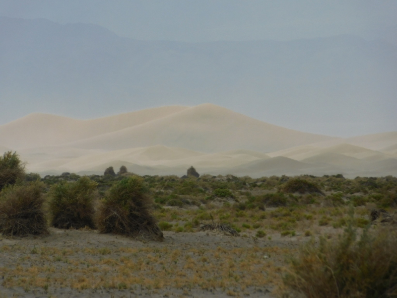 Безэтажная Америка 2019 или Маменькин сынок на Диком Западе (WA-MT-WY-ID-UT-AZ-NV-CA-OR-WA) - Закончен!