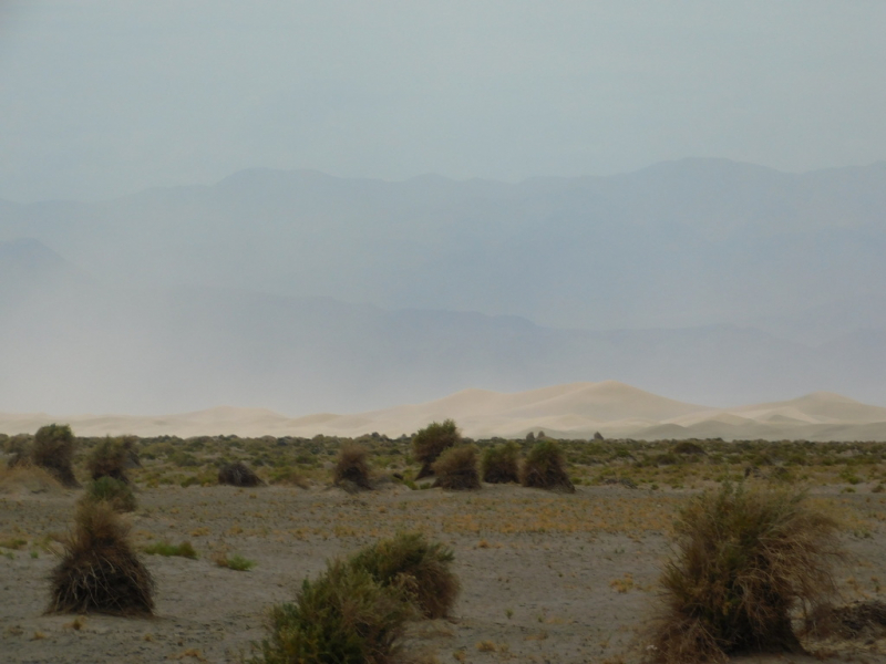 Безэтажная Америка 2019 или Маменькин сынок на Диком Западе (WA-MT-WY-ID-UT-AZ-NV-CA-OR-WA) - Закончен!