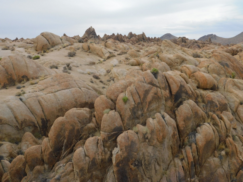 Безэтажная Америка 2019 или Маменькин сынок на Диком Западе (WA-MT-WY-ID-UT-AZ-NV-CA-OR-WA) - Закончен!