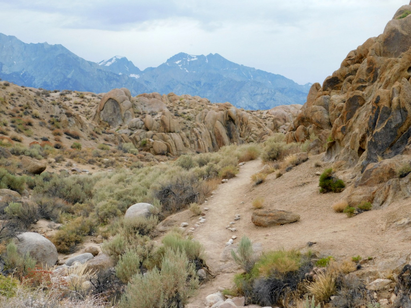 Безэтажная Америка 2019 или Маменькин сынок на Диком Западе (WA-MT-WY-ID-UT-AZ-NV-CA-OR-WA) - Закончен!