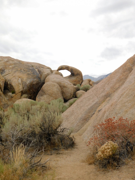 Безэтажная Америка 2019 или Маменькин сынок на Диком Западе (WA-MT-WY-ID-UT-AZ-NV-CA-OR-WA) - Закончен!