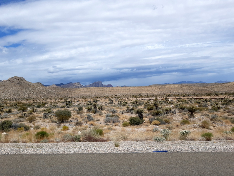 Безэтажная Америка 2019 или Маменькин сынок на Диком Западе (WA-MT-WY-ID-UT-AZ-NV-CA-OR-WA) - Закончен!