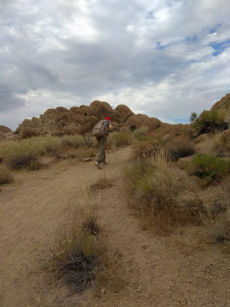 Безэтажная Америка 2019 или Маменькин сынок на Диком Западе (WA-MT-WY-ID-UT-AZ-NV-CA-OR-WA) - Закончен!