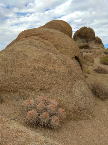 Безэтажная Америка 2019 или Маменькин сынок на Диком Западе (WA-MT-WY-ID-UT-AZ-NV-CA-OR-WA) - Закончен!