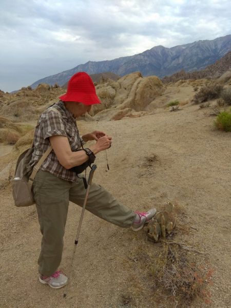 Безэтажная Америка 2019 или Маменькин сынок на Диком Западе (WA-MT-WY-ID-UT-AZ-NV-CA-OR-WA) - Закончен!