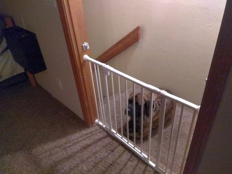 Безэтажная Америка 2019 или Маменькин сынок на Диком Западе (WA-MT-WY-ID-UT-AZ-NV-CA-OR-WA) - Закончен!