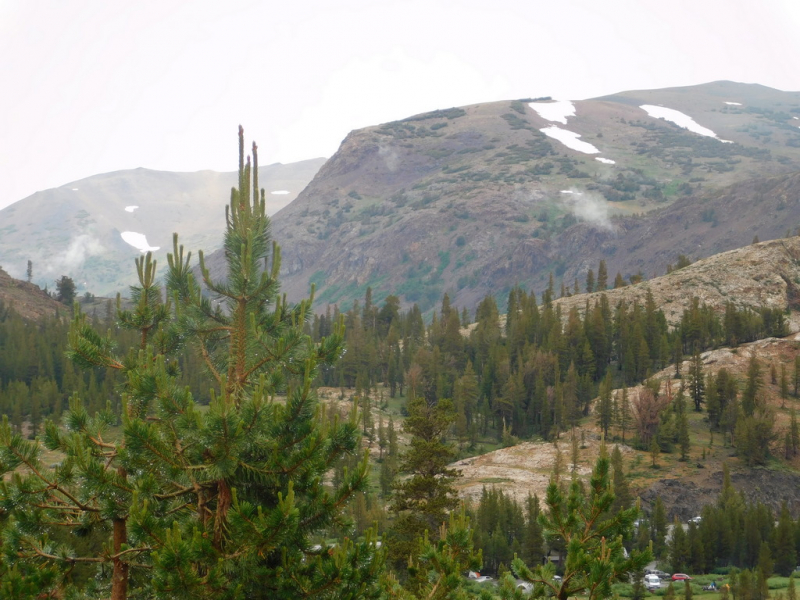 Безэтажная Америка 2019 или Маменькин сынок на Диком Западе (WA-MT-WY-ID-UT-AZ-NV-CA-OR-WA) - Закончен!