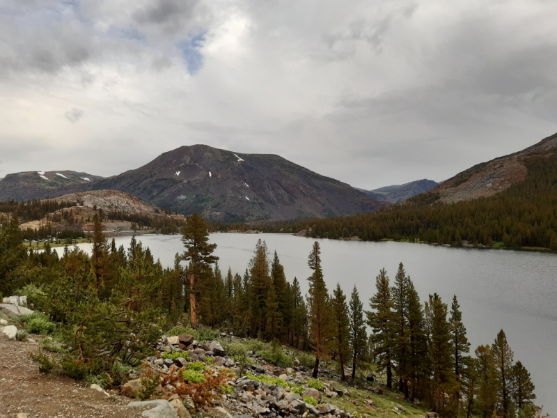 Безэтажная Америка 2019 или Маменькин сынок на Диком Западе (WA-MT-WY-ID-UT-AZ-NV-CA-OR-WA) - Закончен!