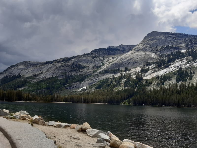 Безэтажная Америка 2019 или Маменькин сынок на Диком Западе (WA-MT-WY-ID-UT-AZ-NV-CA-OR-WA) - Закончен!