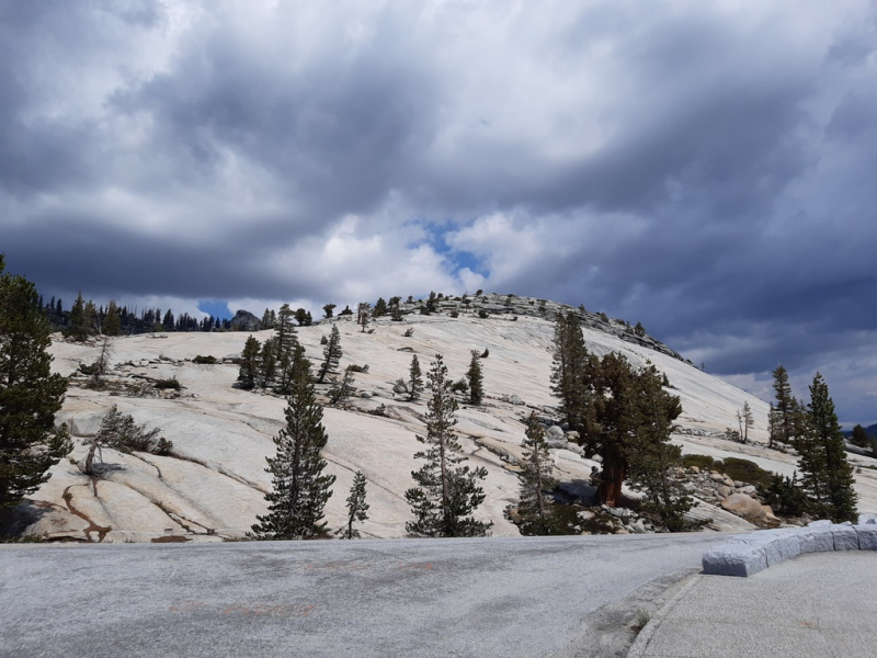 Безэтажная Америка 2019 или Маменькин сынок на Диком Западе (WA-MT-WY-ID-UT-AZ-NV-CA-OR-WA) - Закончен!