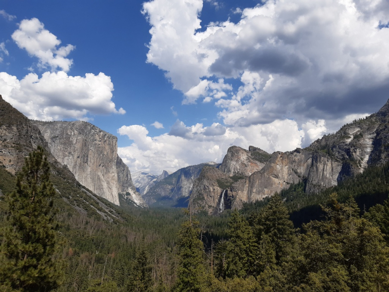 Безэтажная Америка 2019 или Маменькин сынок на Диком Западе (WA-MT-WY-ID-UT-AZ-NV-CA-OR-WA) - Закончен!